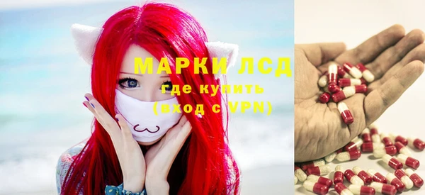 ГАЛЛЮЦИНОГЕННЫЕ ГРИБЫ Баксан